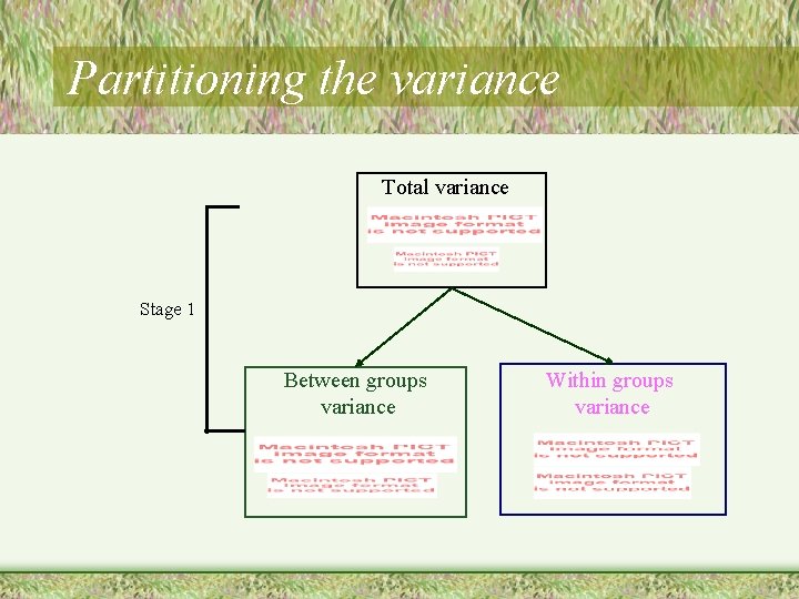 Partitioning the variance Total variance Stage 1 Between groups variance Within groups variance 