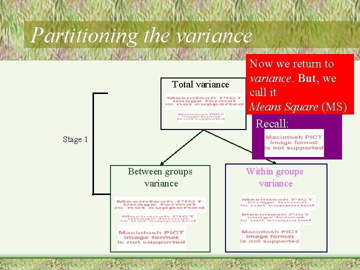 Partitioning the variance Total variance Now we return to variance. But, we call it