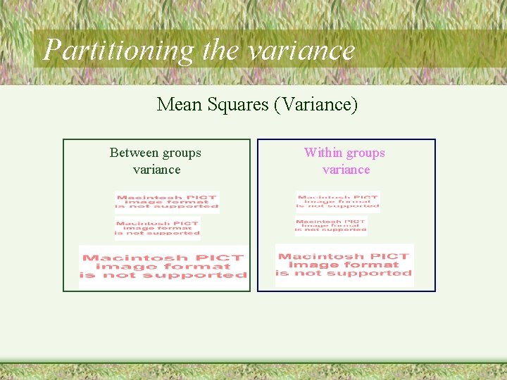 Partitioning the variance Mean Squares (Variance) Between groups variance Within groups variance 