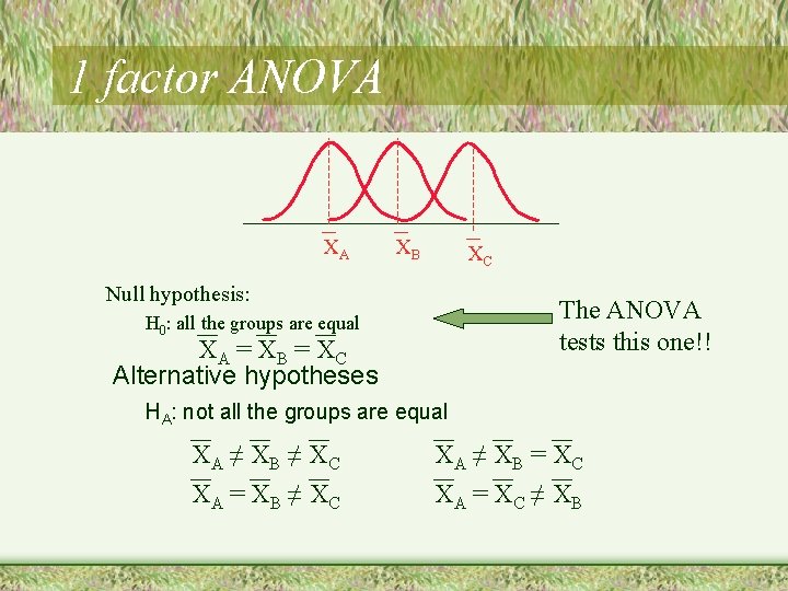 1 factor ANOVA XA XB XC Null hypothesis: The ANOVA tests this one!! H