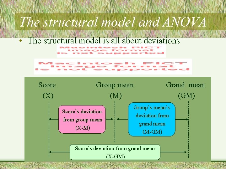 The structural model and ANOVA • The structural model is all about deviations Score