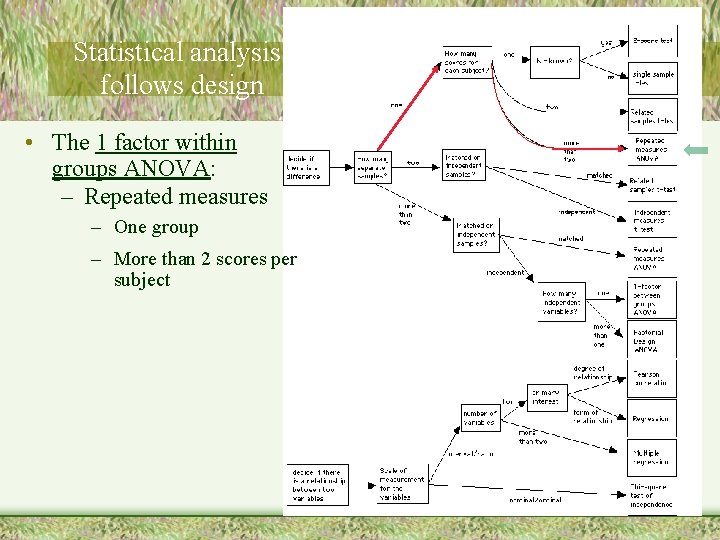 Statistical analysis follows design • The 1 factor within groups ANOVA: – Repeated measures