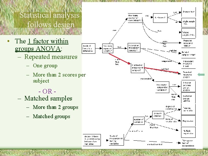 Statistical analysis follows design • The 1 factor within groups ANOVA: – Repeated measures