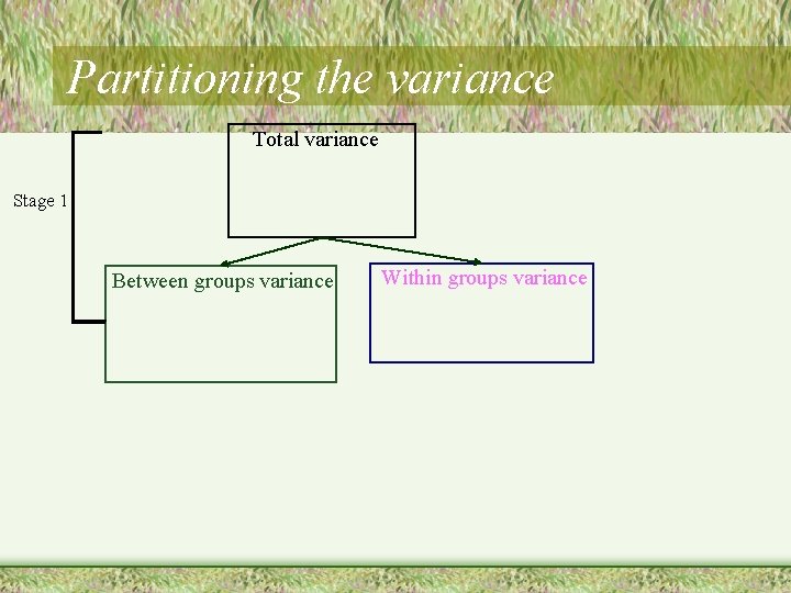 Partitioning the variance Total variance Stage 1 Between groups variance Within groups variance 