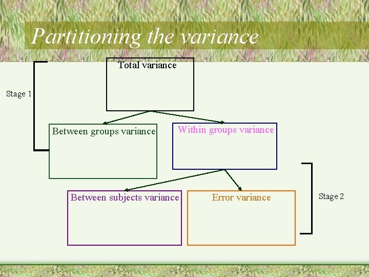 Partitioning the variance Total variance Stage 1 Between groups variance Within groups variance Between