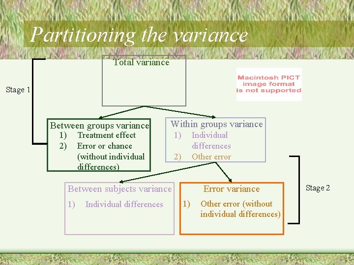 Partitioning the variance Total variance Stage 1 Between groups variance 1) 2) Within groups