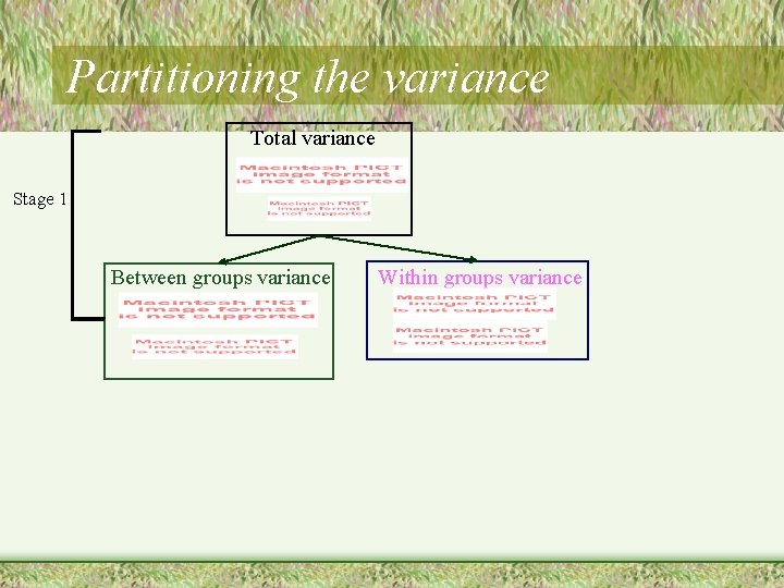 Partitioning the variance Total variance Stage 1 Between groups variance Within groups variance 