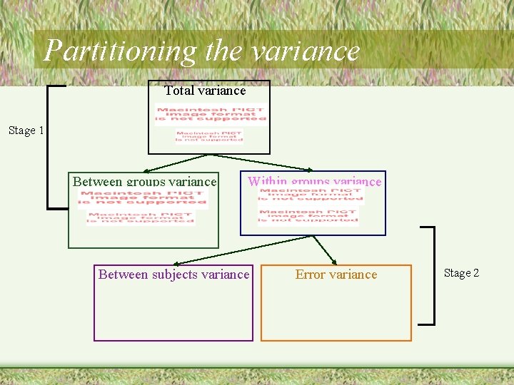 Partitioning the variance Total variance Stage 1 Between groups variance Within groups variance Between