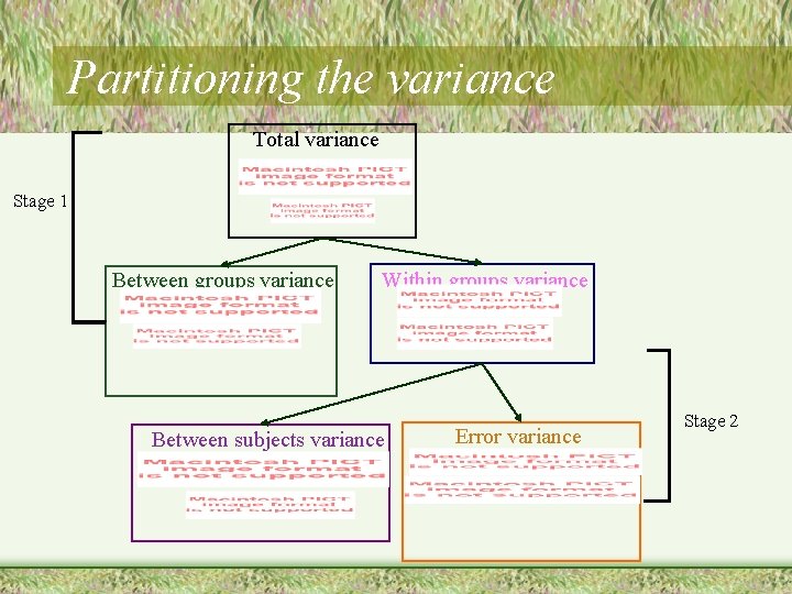 Partitioning the variance Total variance Stage 1 Between groups variance Within groups variance Between