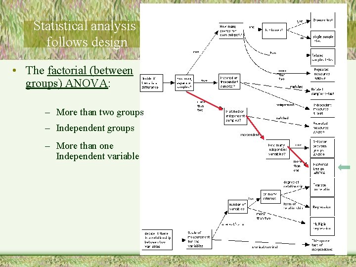 Statistical analysis follows design • The factorial (between groups) ANOVA: – More than two