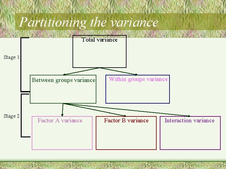 Partitioning the variance Total variance Stage 1 Between groups variance Stage 2 Factor A