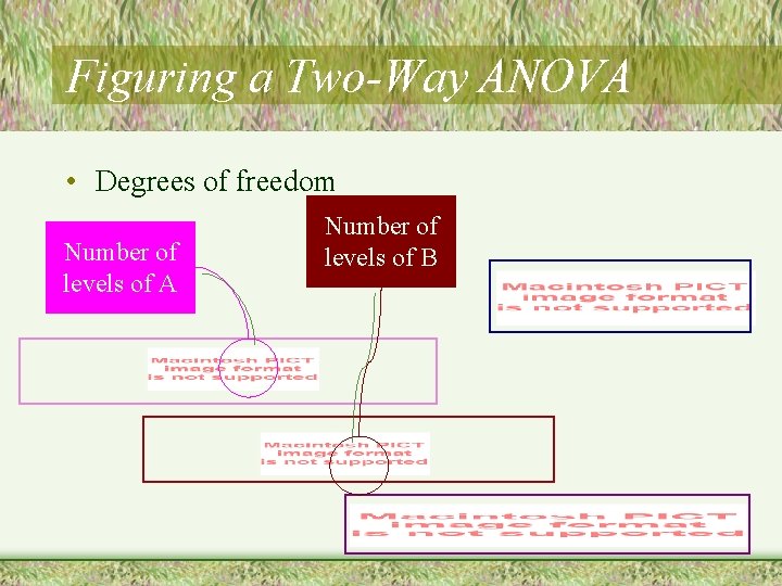 Figuring a Two-Way ANOVA • Degrees of freedom Number of levels of A Number