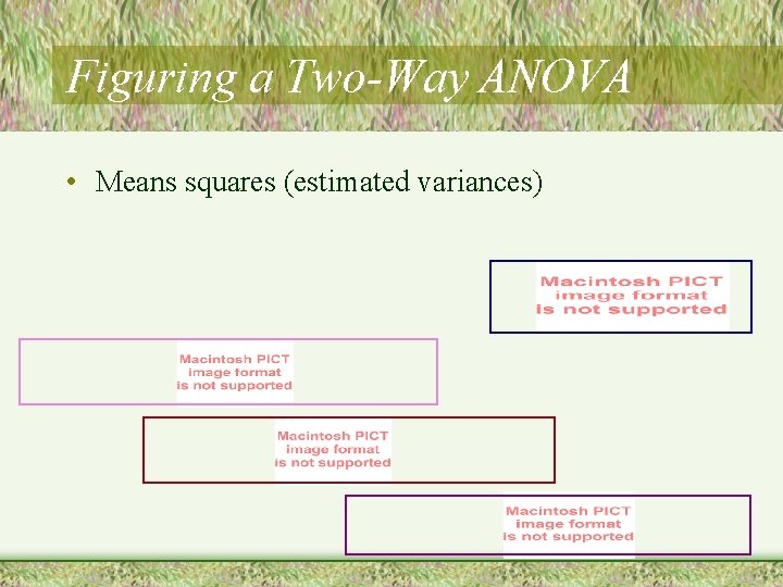 Figuring a Two-Way ANOVA • Means squares (estimated variances) 