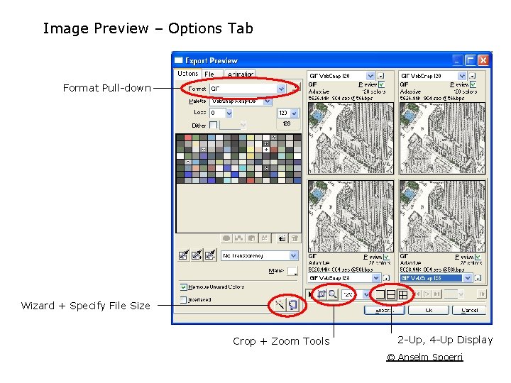 Image Preview – Options Tab Format Pull down Wizard + Specify File Size Crop Image Preview – Options Tab Format Pull down Wizard + Specify File Size Crop