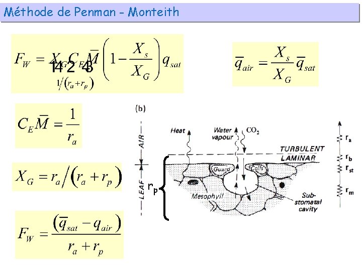 Méthode de Penman - Monteith rp 
