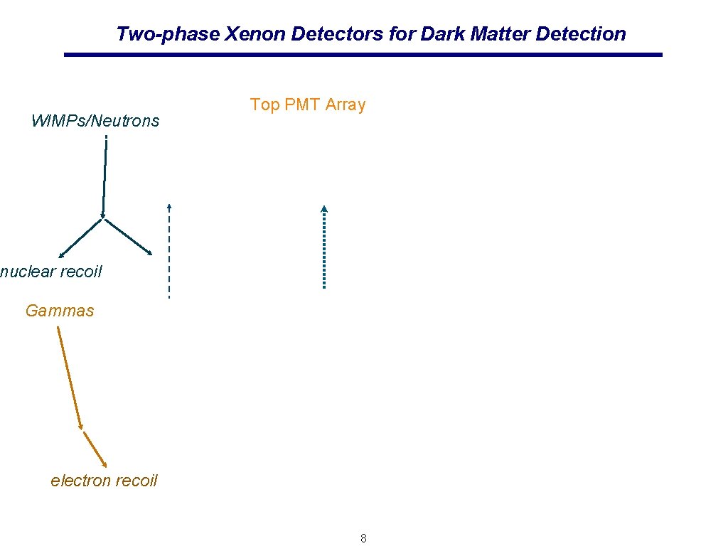 Two-phase Xenon Detectors for Dark Matter Detection WIMPs/Neutrons Top PMT Array nuclear recoil Gammas