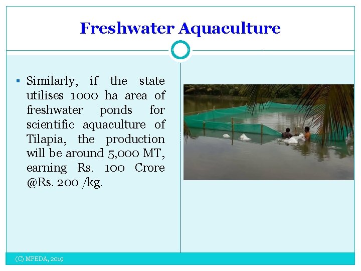 Freshwater Aquaculture § Similarly, if the state utilises 1000 ha area of freshwater ponds