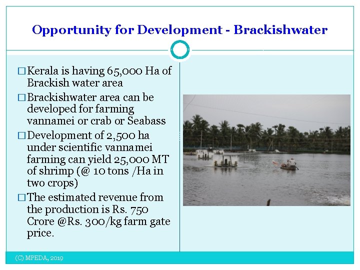 Opportunity for Development - Brackishwater � Kerala is having 65, 000 Ha of Brackish