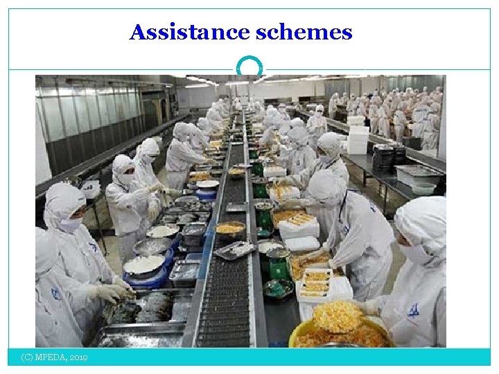 Assistance schemes (C) MPEDA, 2019 