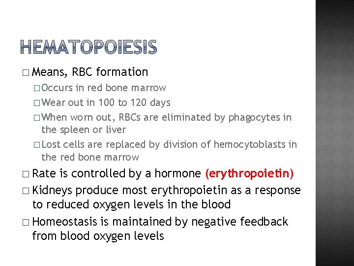 � Means, RBC formation � Occurs in red bone marrow � Wear out in