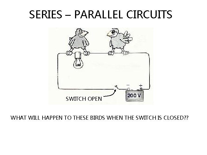 SERIES – PARALLEL CIRCUITS SWITCH OPEN WHAT WILL HAPPEN TO THESE BIRDS WHEN THE