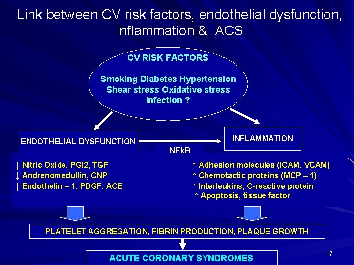 Link between CV risk factors, endothelial dysfunction, inflammation & ACS CV RISK FACTORS Smoking