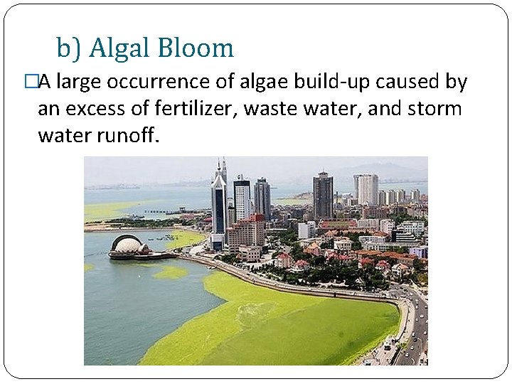 b) Algal Bloom �A large occurrence of algae build-up caused by an excess of
