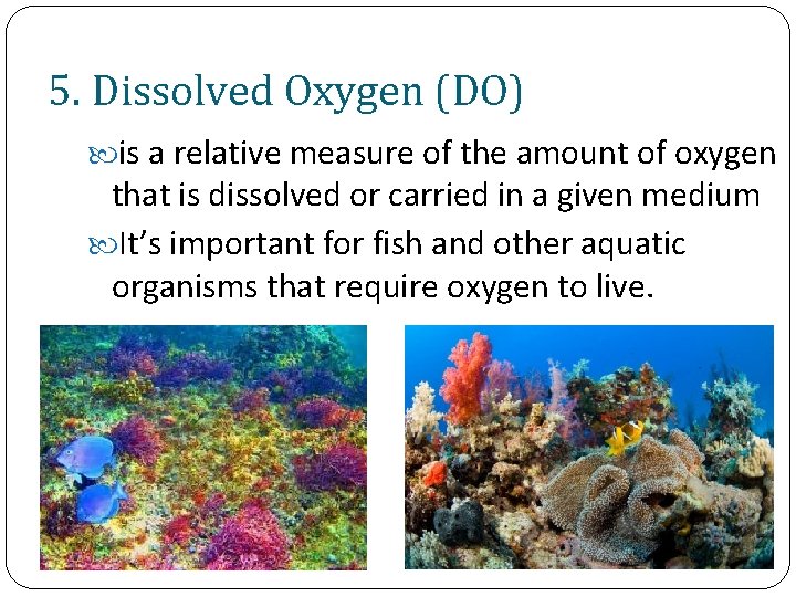 5. Dissolved Oxygen (DO) is a relative measure of the amount of oxygen that