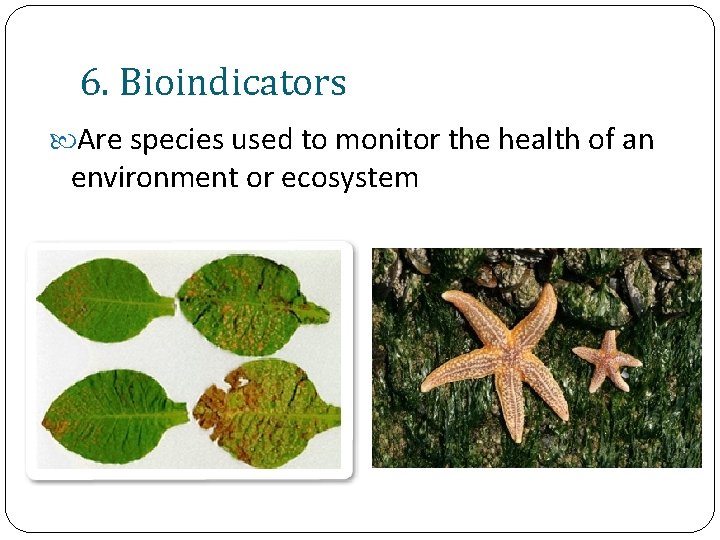 6. Bioindicators Are species used to monitor the health of an environment or ecosystem