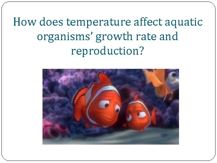 How does temperature affect aquatic organisms’ growth rate and reproduction? 