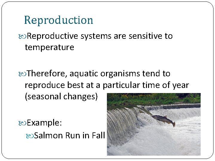 Reproduction Reproductive systems are sensitive to temperature Therefore, aquatic organisms tend to reproduce best