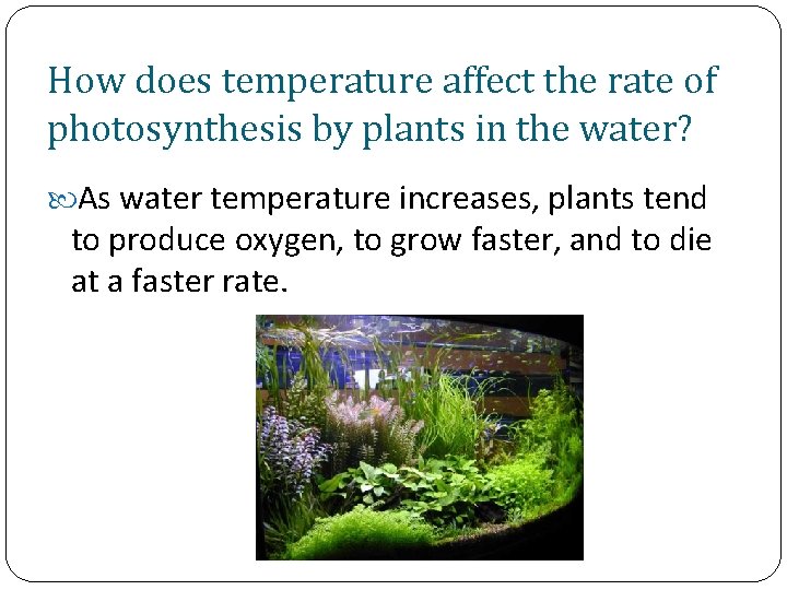 How does temperature affect the rate of photosynthesis by plants in the water? As