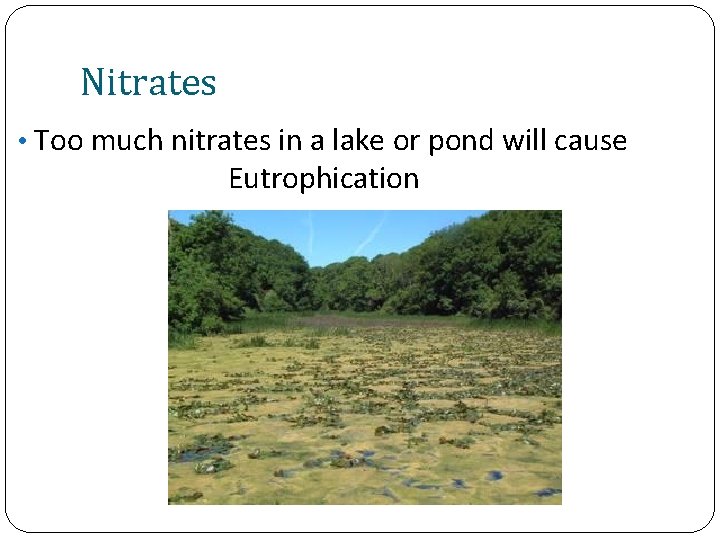 Nitrates • Too much nitrates in a lake or pond will cause Eutrophication 