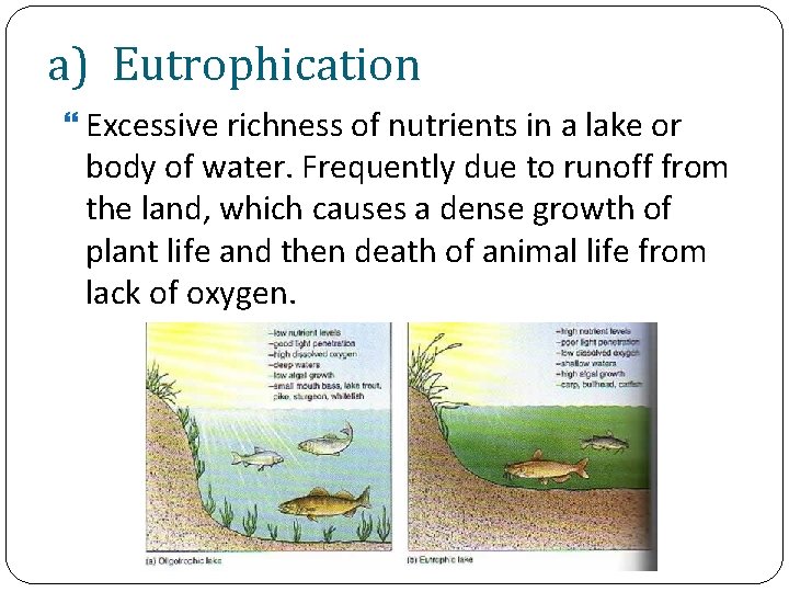 a) Eutrophication Excessive richness of nutrients in a lake or body of water. Frequently