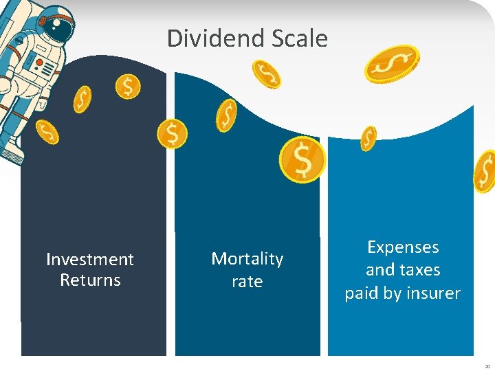 Dividend Scale Investment Returns Mortality rate Expenses and taxes paid by insurer 20 