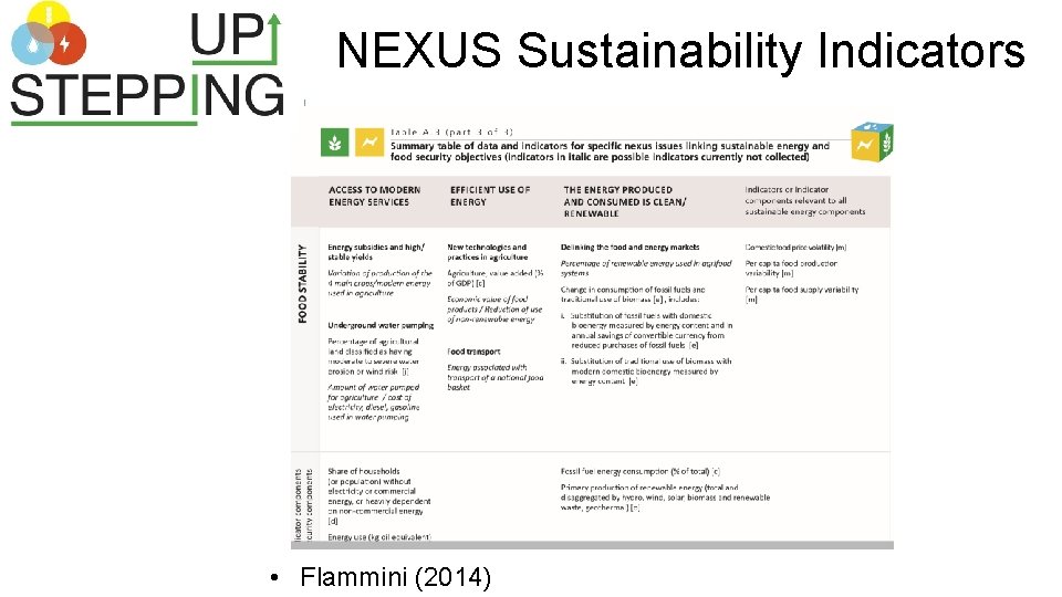 NEXUS Sustainability Indicators • Flammini (2014) 