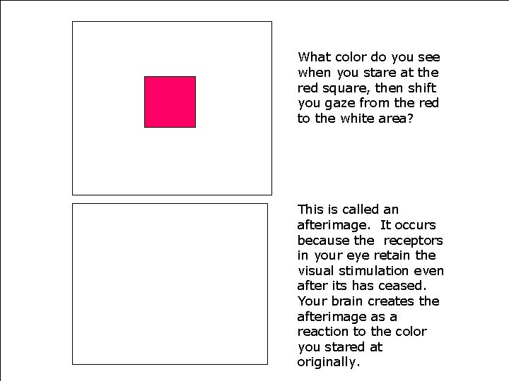 What color do you see when you stare at the red square, then shift