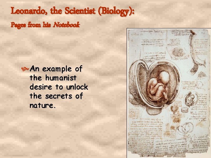 Leonardo, the Scientist (Biology): Pages from his Notebook An example of the humanist desire