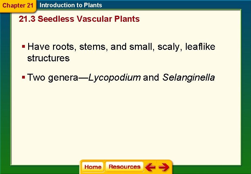 Chapter 21 Introduction to Plants 21. 3 Seedless Vascular Plants § Have roots, stems,