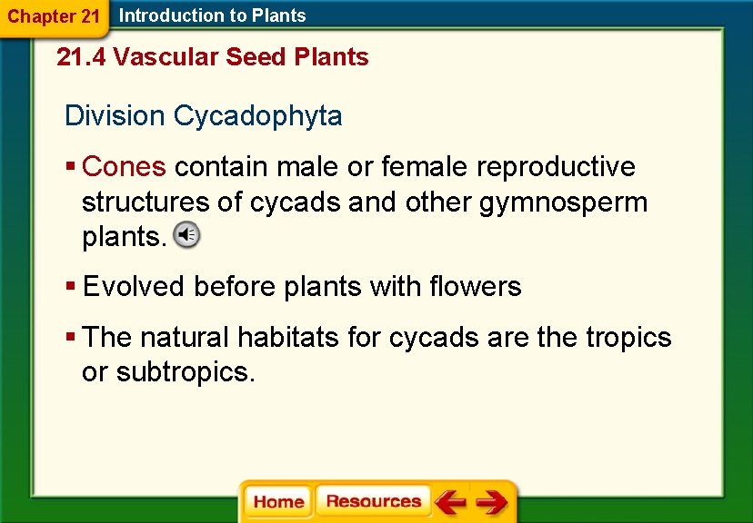 Chapter 21 Introduction to Plants 21. 4 Vascular Seed Plants Division Cycadophyta § Cones