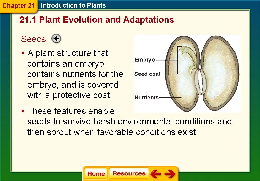 Chapter 21 Introduction to Plants 21. 1 Plant Evolution and Adaptations Seeds § A