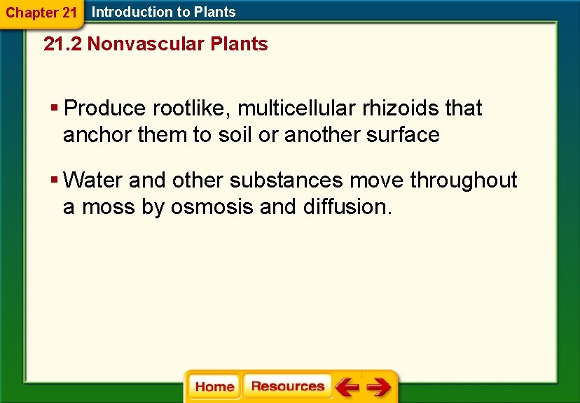 Chapter 21 Introduction to Plants 21. 2 Nonvascular Plants § Produce rootlike, multicellular rhizoids