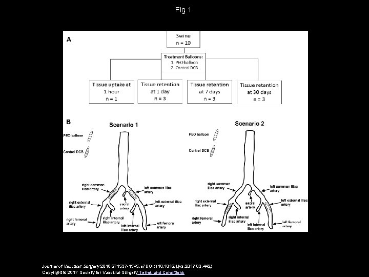 Fig 1 Journal of Vascular Surgery 2018 671537 -1545. e 7 DOI: (10. 1016/j.