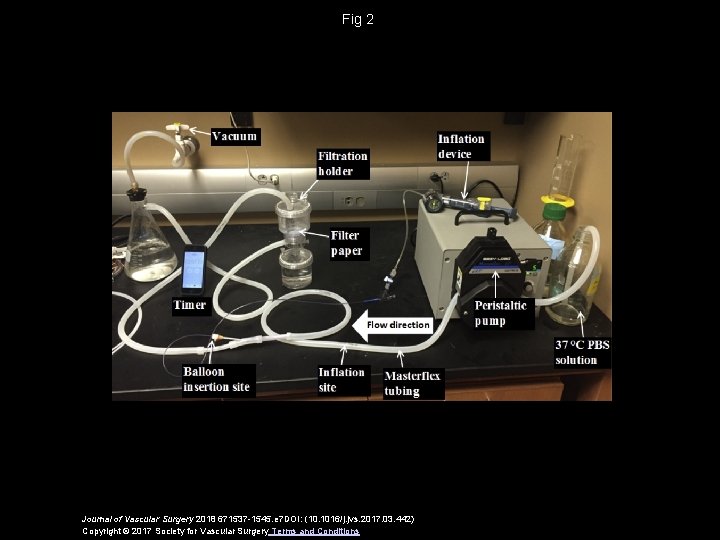 Fig 2 Journal of Vascular Surgery 2018 671537 -1545. e 7 DOI: (10. 1016/j.