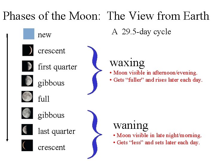 Phases of the Moon: The View from Earth new crescent first quarter gibbous full Phases of the Moon: The View from Earth new crescent first quarter gibbous full