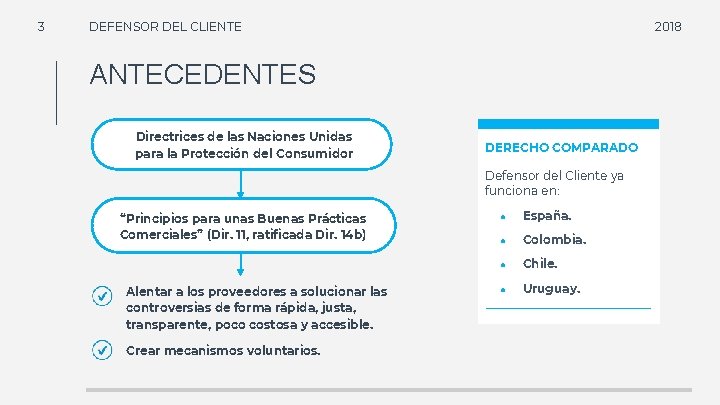 3 DEFENSOR DEL CLIENTE 2018 ANTECEDENTES Directrices de las Naciones Unidas para la Protección