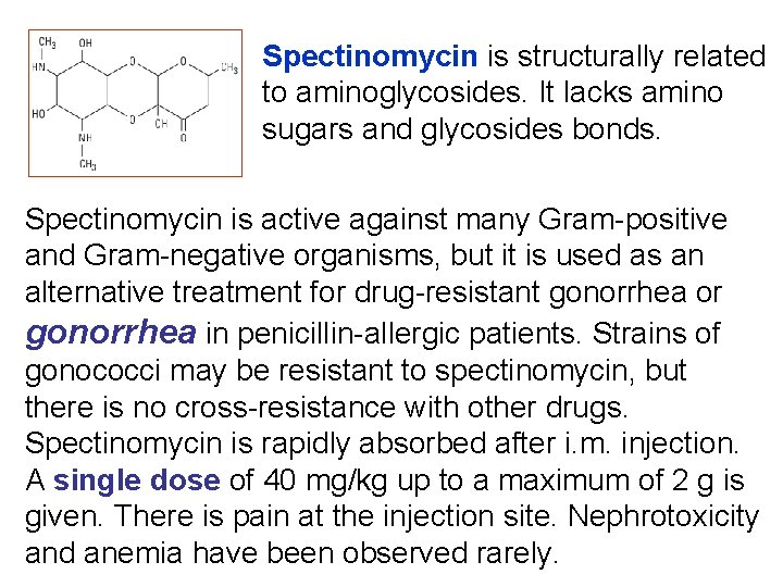 Spectinomycin is structurally related to aminoglycosides. It lacks amino sugars and glycosides bonds. Spectinomycin