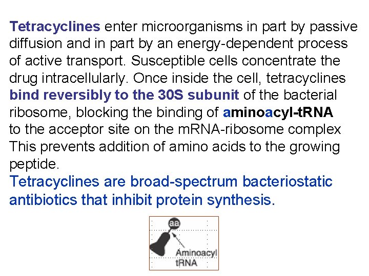 Tetracyclines enter microorganisms in part by passive diffusion and in part by an energy-dependent