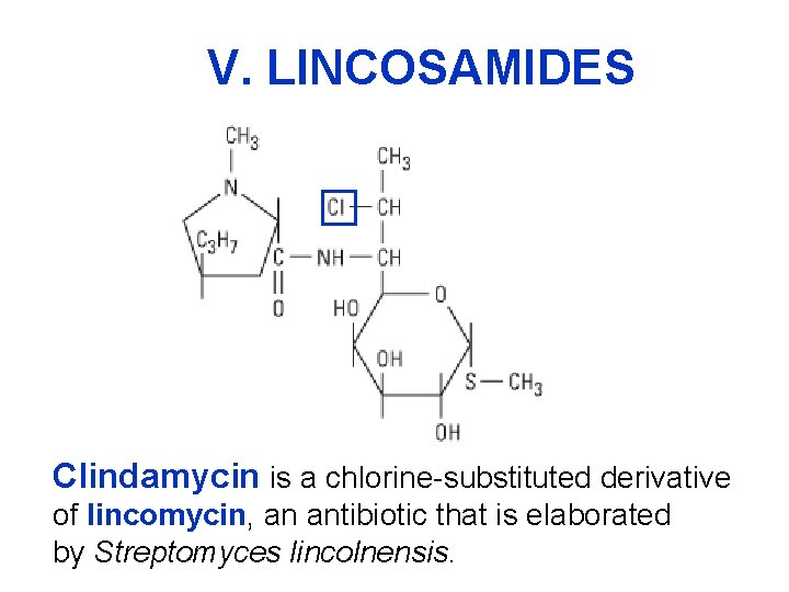 V. LINCOSAMIDES Clindamycin is a chlorine-substituted derivative of lincomycin, an antibiotic that is elaborated