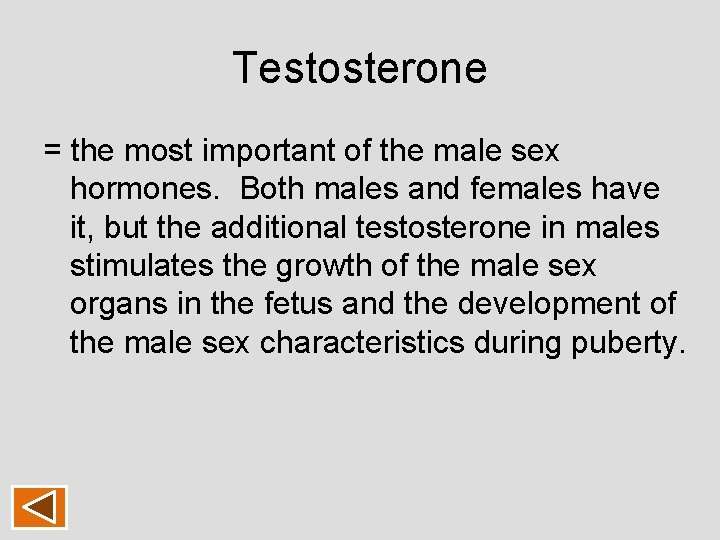 Testosterone = the most important of the male sex hormones. Both males and females Testosterone = the most important of the male sex hormones. Both males and females